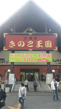 きのこ王国