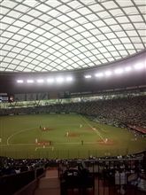 野球観戦（埼玉西武VS福岡ソフトバンク）