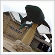 美ら海水族館！