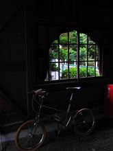 ご近所の秋を探しに（雨降られた）