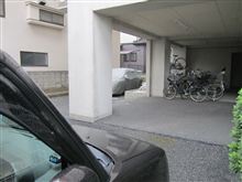 専守防衛
