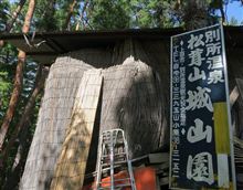 秋の味覚「松茸」堪能オフ・・・贅沢松茸堪能編