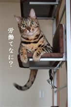 セッティング