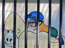 ポチガー 動画とったどー ポチガー 動画とったどー
