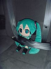 同乗者ベルトよし！