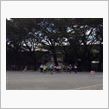 学校公開