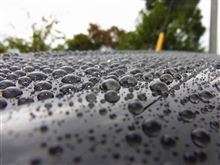 雨だねぇ(^^;