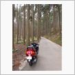 バイクで一走りして来ました・ ...