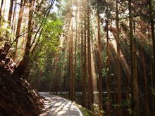 奈良和歌山県道７３２号阪本五條線その２　