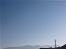 朝の一仕事・・・