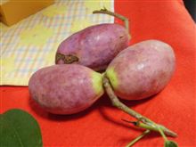 休み♪　（*＾＾*）　10/16（火曜日）