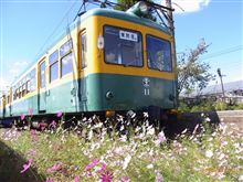 秋桜と新潟交通　月潟駅　モハ11号、モワ51、キ116