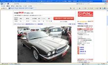 もげカラーDD6発見
