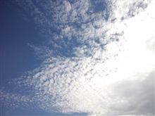 降るはな・・・(汗)