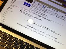 マリー・アントワネットの靴、、