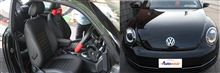 The Beetle 