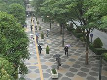 久々の遠出出張