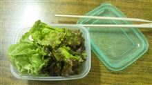 本日のお昼ごはん