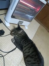 夜は冷えるので…