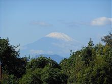冠雪