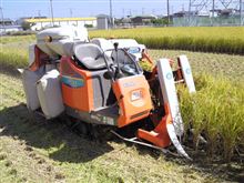 稲刈り終了