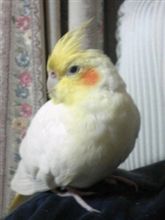 寒いからかな？
