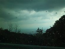 登ってみた