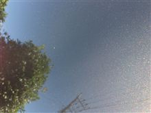 スマートWAXでビッカビカ（笑）