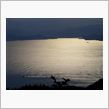 日本海を高浜～三方五湖へドラ ...