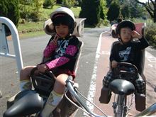 栄光のシンリンロード！