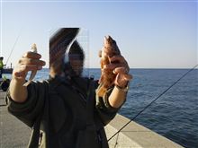 釣り・・・・連荘で勝負!!!