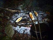 今年最後の沢登り・・