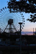 鈴鹿と富士で見つけた秋。
