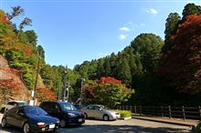 まさかのGoogle先生、来広か？