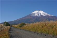 意外としっかり冠雪していた富士山