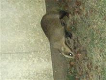 最近のまとめ3