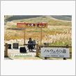 絶好のオ～プン日和！！峰山高 ...