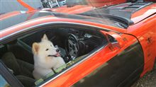 ○○○だけは駄目なんです！