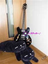 セミアコ、その後。