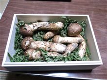 秋の味覚、キター(･∀･)ーｯ!!