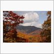 照葉峡の紅葉（2012/10 ...