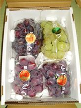 お友達からの頂き物