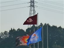 先日の 先日の