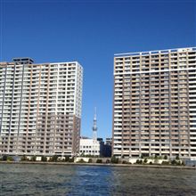 お散歩再開