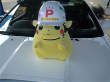 やっぱり、こいつを育てるか？