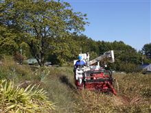 山が燃える・・・