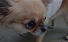秋から冬へ すこしずつ・・
