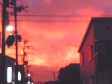 7日前の。 7日前の。