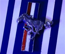 MUSTANG1の参