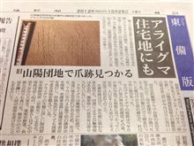 また奴が・・・？？？